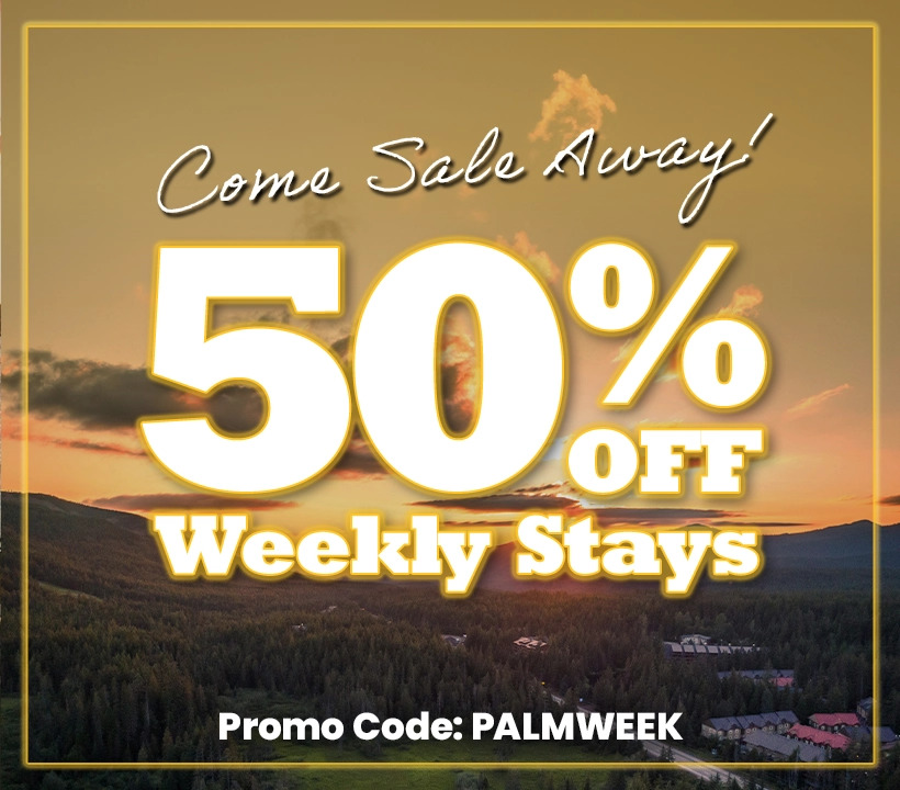 Black Friday Weekly Offer