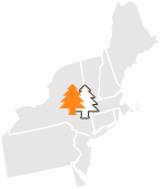 Northeast Icon